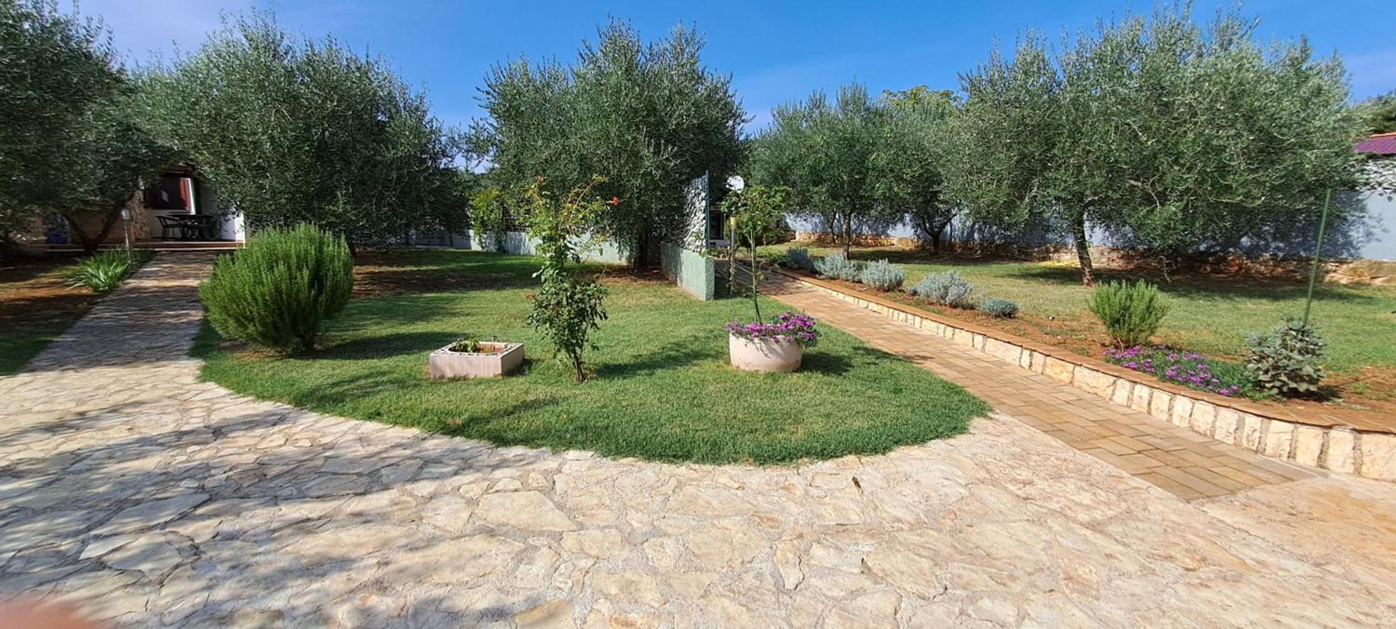 Holiday Houses Marta Rovigno Esterno foto